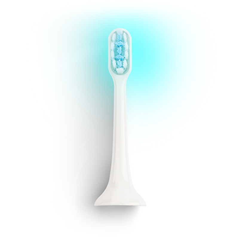 Tête de brosse BLANCHE