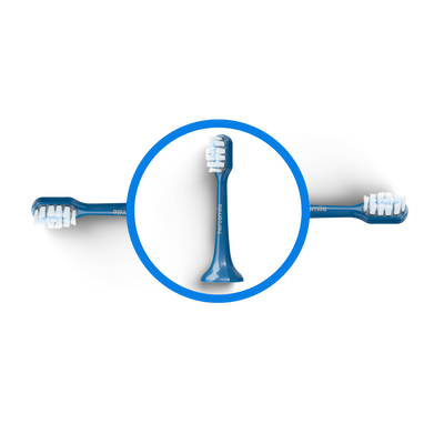 Tête de brosse BLEUE