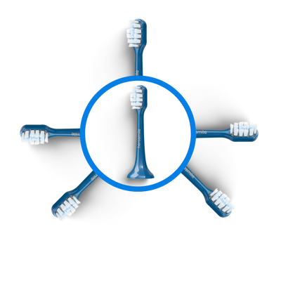 Tête de brosse BLEUE
