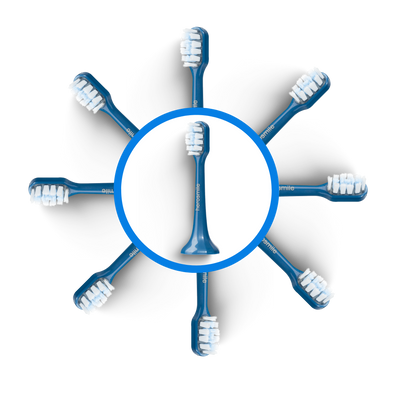 Tête de brosse BLEUE
