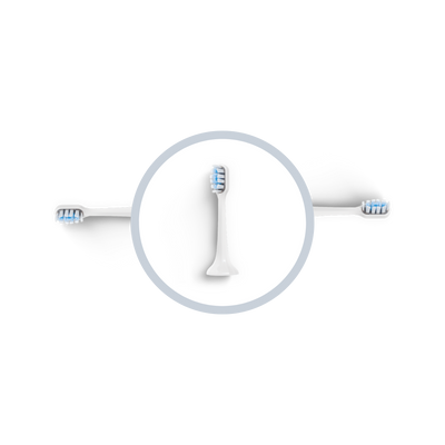 Tête de brosse BLANCHE
