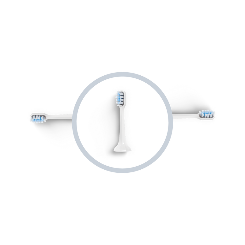 Tête de brosse BLANCHE