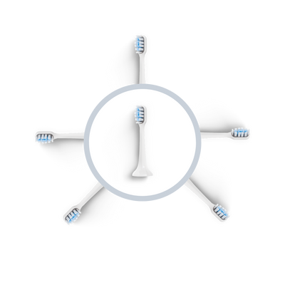Tête de brosse BLANCHE