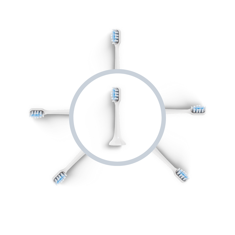 Tête de brosse BLANCHE