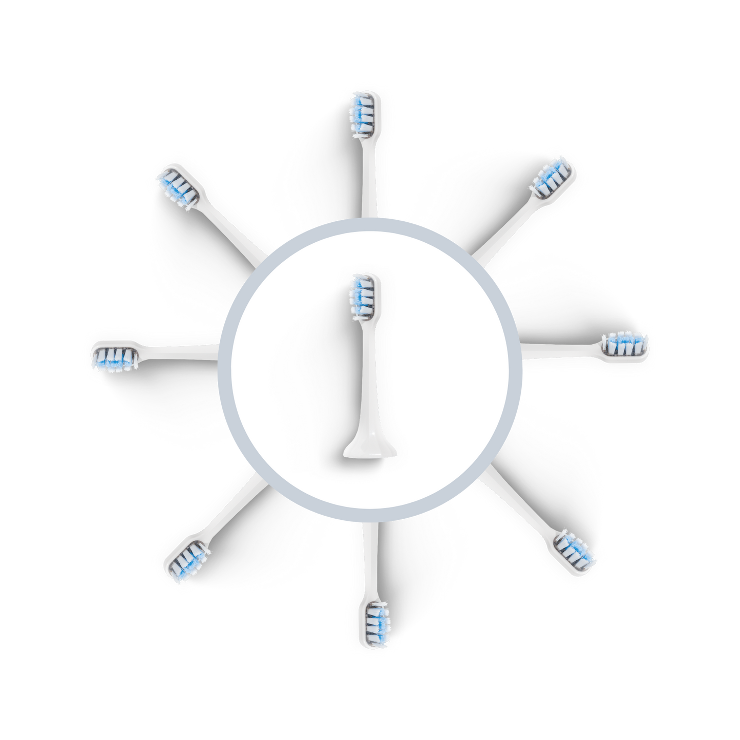 Tête de brosse BLANCHE