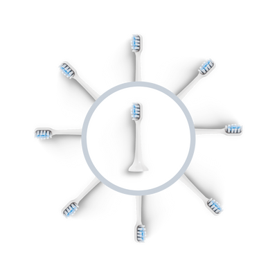Tête de brosse BLANCHE