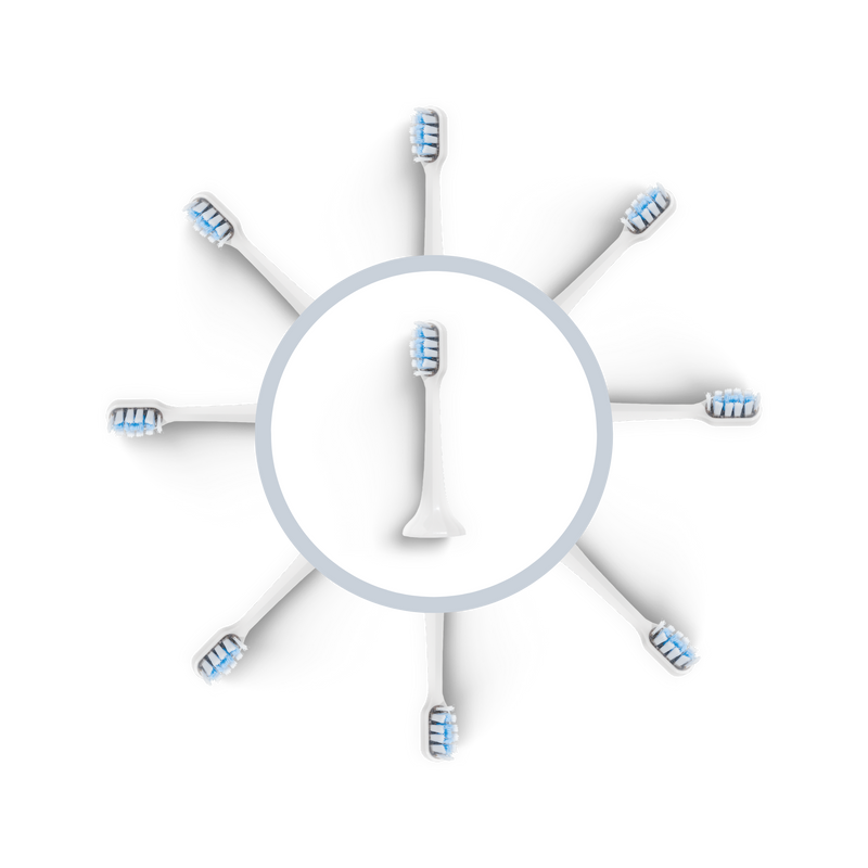 Tête de brosse BLANCHE