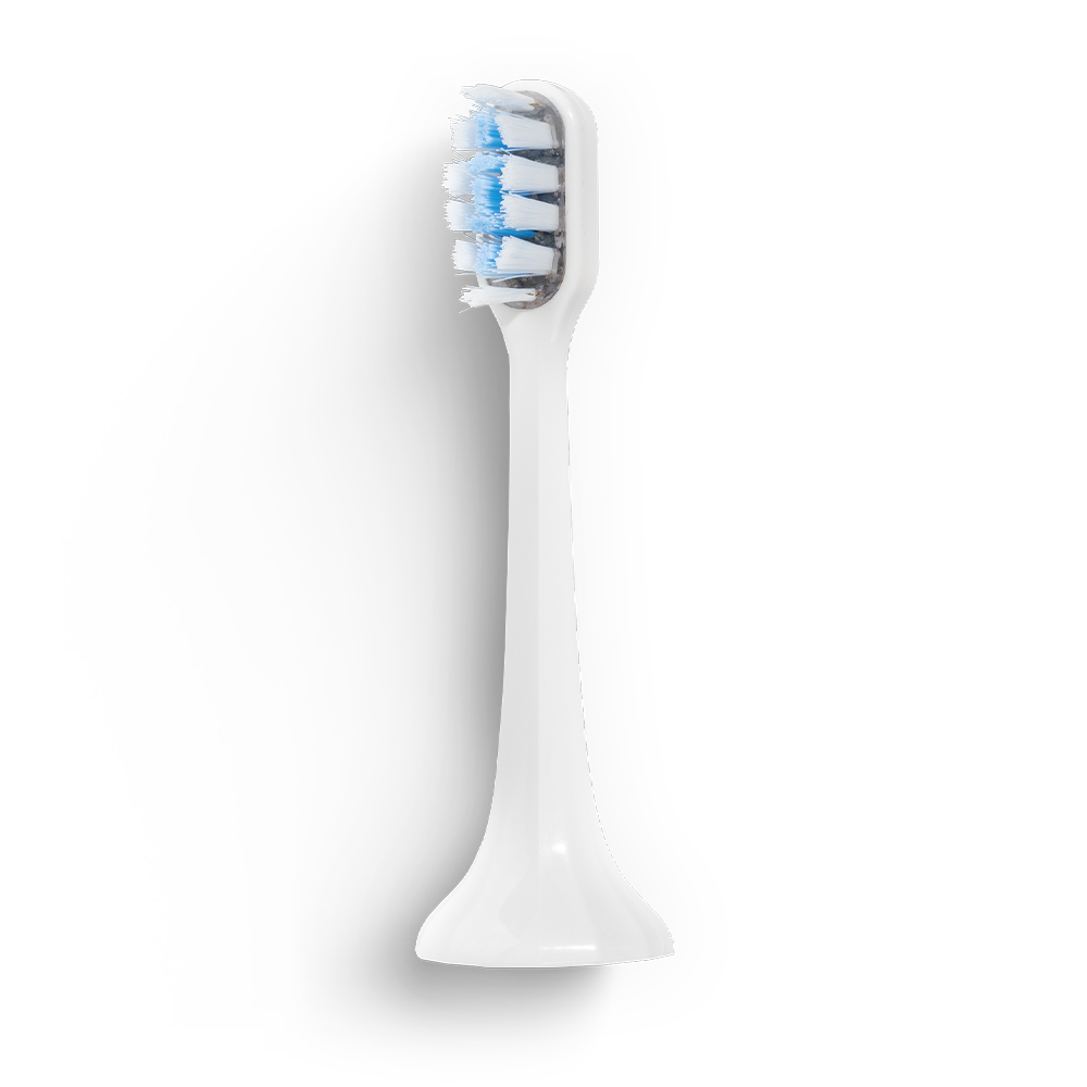 Tête de brosse BLANCHE