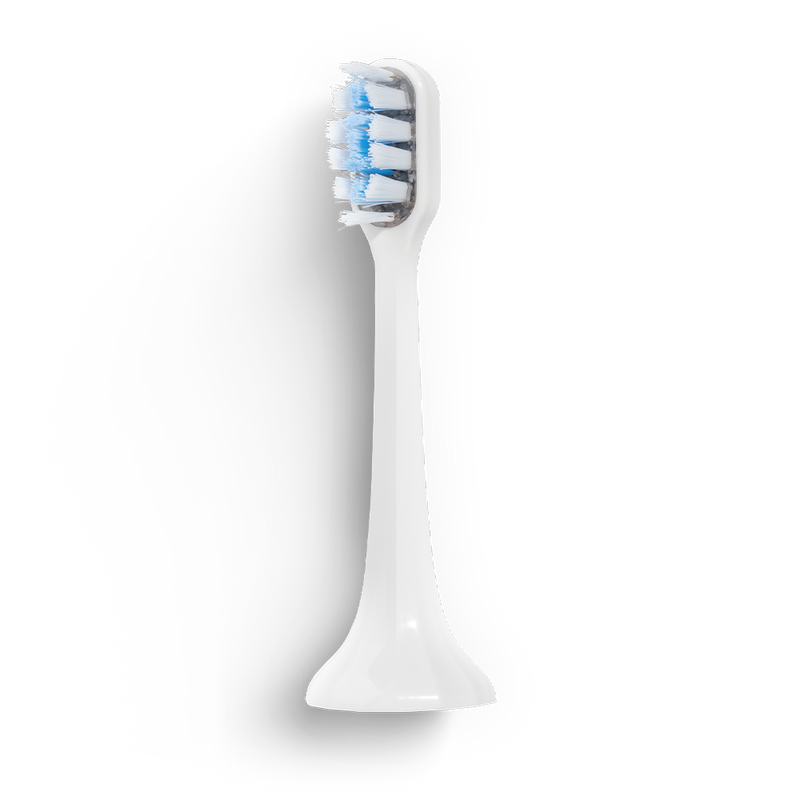 Tête de brosse BLANCHE